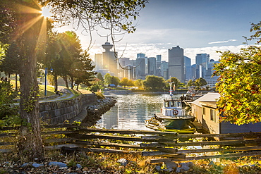 View of city skyline and Vancouver Lookout Tower from CRAB Park at Portside, Vancouver, British Columbia, Canada, North America