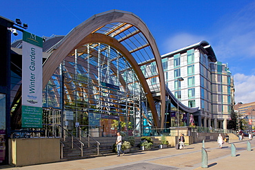 Winter Gardens, Sheffield, South Yorkshire, Yorkshire, England, United Kingdom, Europe