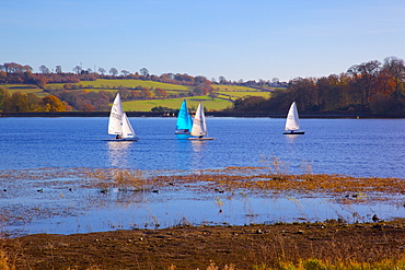 Sailing on Ogston Reservoir, Derbyshire Dales, Derbyshire, England, United Kingdom, Europe