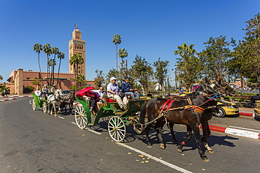 Horses and carriages and Minaret of the 12th century Koutoubia Mosque at dawn, UNESCO World Heritage Site, Marrakesh, Morocco, North Africa, Africa