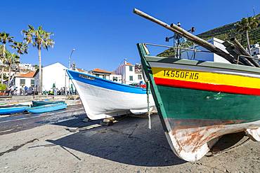 Colourful fishing boats in harbour in Camara de Lobos, Madeira, Portugal, Atlantic, Europe