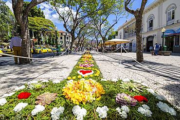 Al Fresco restaurants and Flower Festival on Avenue Arriaga during springtime, Funchal, Madeira, Portugal, Atlantic, Europe