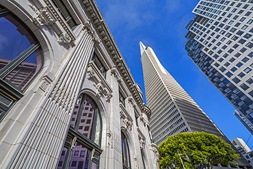 View of Transamerica Pyramid building in the financial district of Downtown, San Francisco, California, United States of America, North America