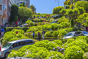 View of cars on Lombard Street, San Francisco, California, United States of America, North America