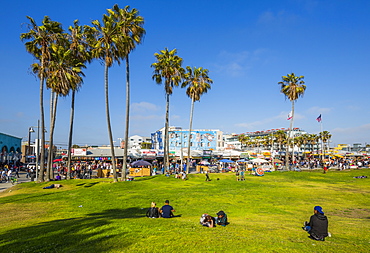 View of palm trees and visitors on Ocean Front Walk in Venice Beach, Los Angeles, California, United States of America, North America