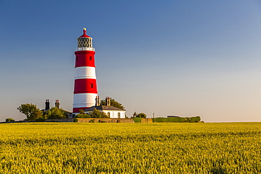 View of Happisburgh Lighthouse, Happisburgh, Norfolk, England, United Kingdom, Europe