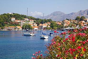 View of Cavtat Old Town, Cavtat, Dubrovnik Riviera, Dalmatian Coast, Dalmatia, Croatia, Europe