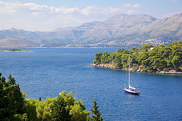 Adriatic coastline, Cavtat, Dubrovnik Riviera, Dalmatian Coast, Dalmatia, Croatia, Europe 