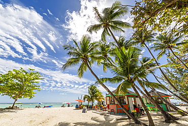 View of palm tree fringed Worthing Beach, Barbados, West Indies, Caribbean, Central America