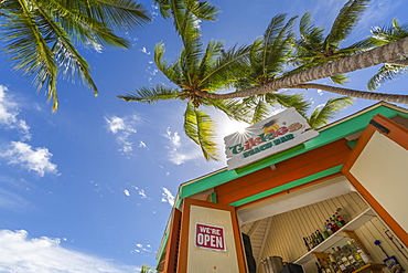 View of palm tree and beach bar on Worthing Beach, Barbados, West Indies, Caribbean, Central America