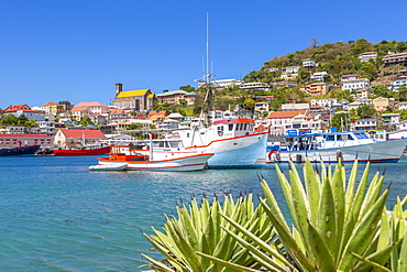 View over the Carenage of St. George's, Grenada, Windward Islands, West Indies, Caribbean, Central America