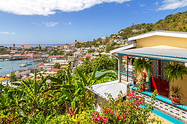 Elevated view of the Carenage of St. George's, Grenada, Windward Islands, West Indies, Caribbean, Central America