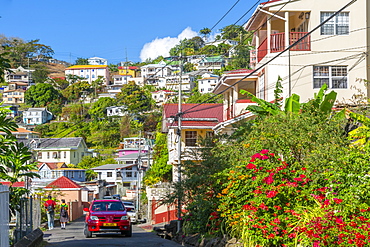 View of colourful houses that overlook the Carenage of St. George's, Grenada, Windward Islands, West Indies, Caribbean, Central America