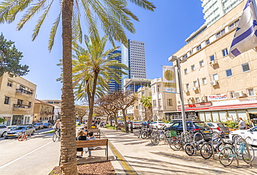 View of palm trees and walkway on Rothschild Boulevard, Tel Aviv, Israel, Middle East