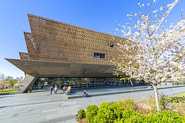 The National Museum of African American History and Culture in spring, Washington D.C., United States of America, North America