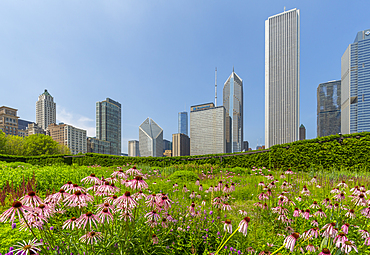 View of city skyscrapers from Millennium Park, Downtown Chicago, Illinois, United States of America, North America