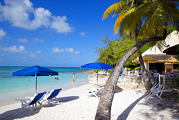 Beach and palm trees, Long Bay, Antigua, Leeward Islands, West Indies, Caribbean, Central America