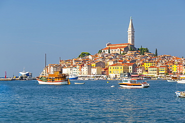 View of harbour and the old town with the Cathedral of St. Euphemia, Rovinj, Istria, Croatia, Adriatic, Europe