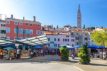 View of Rovinj Market overlooked by Cathedral of St. Euphemia in the Old Town of Rovinj, Croatian Adriatic Sea, Istria, Croatia, Europe