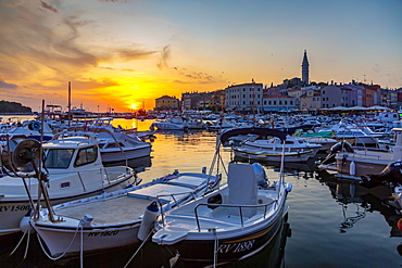 View of harbour and the old town with the Cathedral of St. Euphemia, Rovinj, Istria, Croatia, Adriatic, Europe