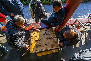 Locals playing board game in Gathering at the Ghost Corridor in the Temple of Heaven, Beijing, People's Republic of China, Asia