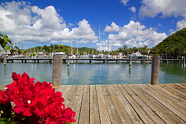 Jolly Harbour, St. Mary, Antigua, Leeward Islands, West Indies, Caribbean, Central America