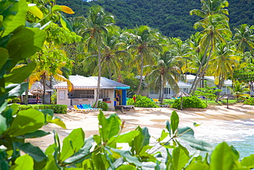 Hawksbill Bay and Beach, St. Johns, Antigua, Leeward Islands, West Indies, Caribbean, Central America