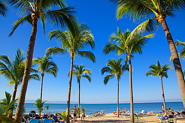 Beach scene, Nuevo Vallarta, Nayarit, Mexico, North America