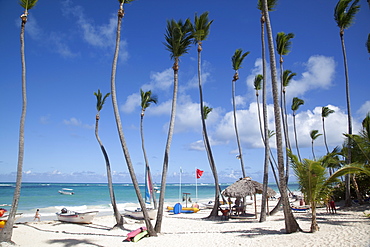 Bavaro Beach, Punta Cana, Dominican Republic, West Indies, Caribbean, Central America