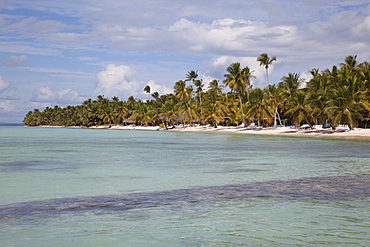 Saona Island, Dominican Republic, West Indies, Caribbean, Central America