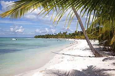 Saona Island, Dominican Republic, West Indies, Caribbean, Central America