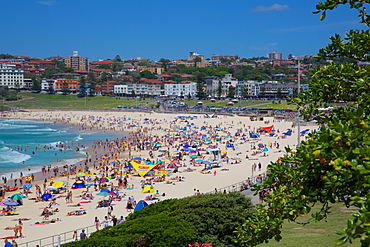 Bondi Beach, Sydney, New South Wales, Australia, Oceania