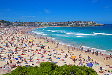 Bondi Beach, Sydney, New South Wales, Australia, Oceania