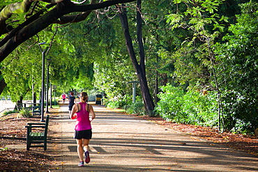 Botanical Gardens, Brisbane, Queensland, Australia, Oceania