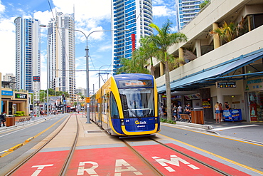 Local Tram in Surfers Paradise, Queensland, Australia, Oceania