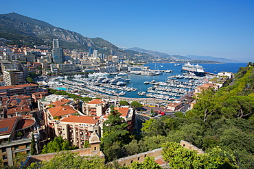 View of Harbour, Monaco, Mediterranean, Europe