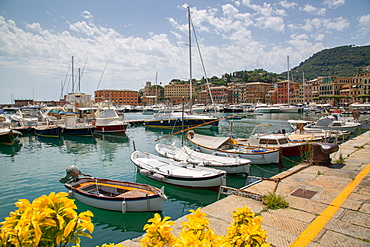 Santa Margherita Ligure harbour, Genova (Genoa), Liguria, Italy, Europe