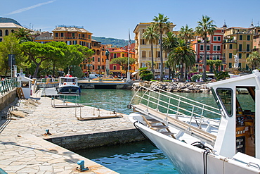 Santa Margherita Ligure harbour, Genova (Genoa), Liguria, Italy, Europe