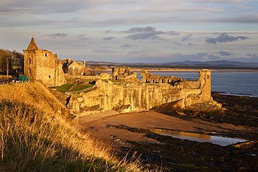 The Castle at sunrise, St Andrews, Fife, Scotland