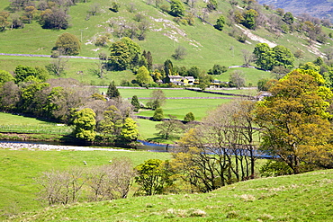 Countryside near Burnsall, Wharfedale, Yorkshire Dales, Yorkshire, England, United Kingdom, Europe