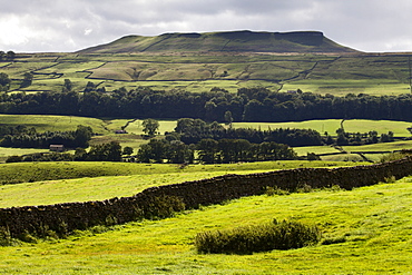 Addlebrough from Askrigg in Wensleydale, Yorkshire Dales, North Yorkshire, Yorkshire, England, United Kingdom, Europe