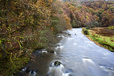 The River Greta in Brundholme Woods, Keswick, Cumbria, England, United Kingdom, Europe 