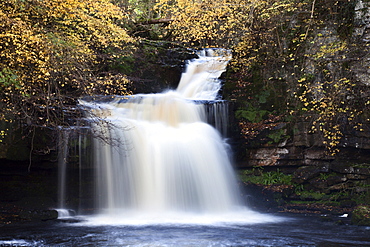 West Burton Waterfall in autumn, Wensleydale, North Yorkshire, England, United Kingdom, Europe 