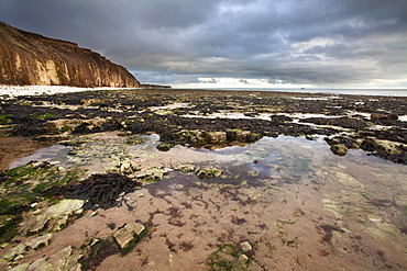 Toward Flamborough Head from Sewerby Rocks, Bridlington, East Riding of Yorkshire, England, United Kingdom, Europe