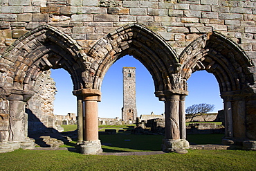 St. Rules Tower at St. Andrews Cathedral, Fife, Scotland, United Kingdom, Europe 