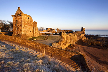 St. Andrews Castle at dawn, Fife, Scotland, United Kingdom, Europe 