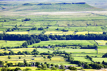 The Flat Topped Hill of Addleborough from Askrigg Moor Road, Wensleydale, Yorkshire Dales National Park, Yorkshire, England, United Kingdom, Europe 