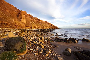 Rocky shoreline below Carr Naze, Filey Brigg, Filey, North Yorkshire, Yorkshire, England, United Kingdom, Europe