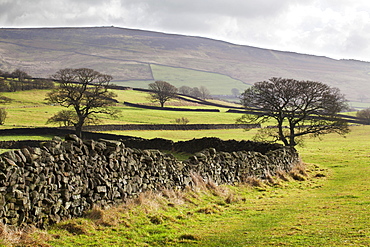 Beamsley Beacon from Storiths, North Yorkshire, Yorkshire, England, United Kingdom, Europe