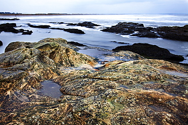 Rocky shoreline, St. Andrews, Fife, Scotland, United Kingdom, Europe 
